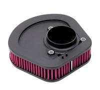 protezione del motore Pulitore filtro aspirazione aria per motocicletta, adatto per Harley Softail M8 Sport Glide FLSB Softail FLSL 29400248 Schiuma media