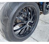 Protezione forcellone compatibile con Triumph Speed Triple 1050 2008-2020