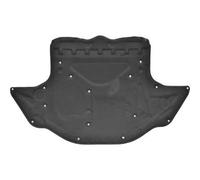 Protezione paramotore ClasseE W211 02-09 2116820626