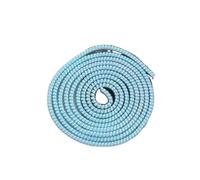 Protezione per cavi USB per telefoni cellulari, protezione per cavi a spirale, custodia per cavo dati e caricabatterie, salva cavo cuffie (blu laser)