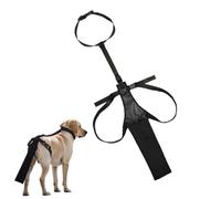 Protezione per La Coda del Cane, Copertura per Coda di Cane Domestico, Copertura per Coda Regolabile, Equipaggiamento Protettivo per Animali Domestici, Forniture per Animali Domestici