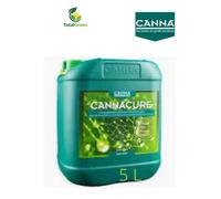 Protezione piante difesa naturale contro parassiti malattie canna cure ricarica
