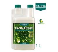 Protezione piante difesa naturale contro parassiti malattie canna cure ricarica