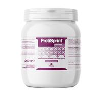 PROTISPRINT NUTRITION POLV300G
