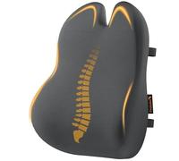 ProtoArc Cuscino di supporto lombare per sedia da ufficio, cuscino di supporto per la schiena in memory foam per la parte bassa della schiena, cuscino lombare per sedia da scrivania - Grigio Scuro