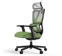 ProtoArc EC100 Sedia da Ufficio Ergonomica - Sedia da Scrivania con Cuscino a Molla da 10 cm, Supporto Lombare, Braccioli e Poggiatesta Regolabili, Sedia Girevole in Rete per Casa e Ufficio, Verde