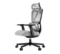 ProtoArc EC100 Sedia da Ufficio Ergonomica - Sedia Scrivania per Computer con Schienale più Alto, 10 CM Cuscino a Molla più Spesso, Supporto Lombare, Braccioli e Poggiatesta Regolabili - Grigio