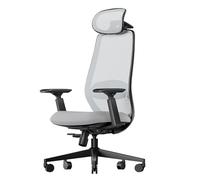 ProtoArc EC200 Sedia da ufficio ergonomica per la casa, sedia da scrivania girevole, poggiatesta 3D regolabile e supporto lombare, seduta scorrevole per un comfort di oltre 8 ore, Grigio