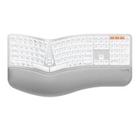 ProtoArc Tastiera Ergonomica Senza Fili Retroilluminata EK01 Plus Full Size Ergo Keyboard con Poggiapolsi, Split, Ricaricabile, Bluetooth e USB, Digitazione Naturale Compatibile con