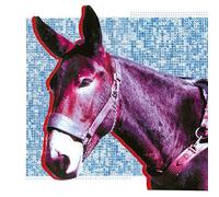 Protomartyr Ultimate Success Today (CD) Album