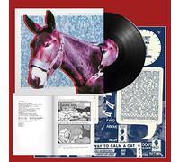 Protomartyr - Ultimate Success Today
