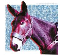 Protomartyr Ultimate Success Today (CD) Album
