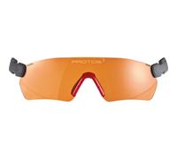 PROTOS Schutzbrille Integral
