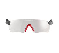 Protos Pfanner Integral Schutzbrille -farblos-