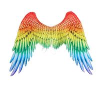 Proumhang Carnevale Mardi Gras Unisex Halloween Oversize Multicoloured Angel Wings Paint On Cloth 45 * 75 * 105cm