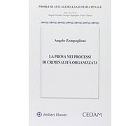 Prova nei processi di criminalità organizzata