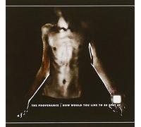 Provenance The - How Would You Like To Be Spat At