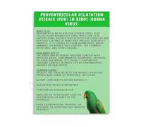 Proventricular Dilatation Disease Pdd Borna Virus Birds Educational Guide Poster Canvas Wall Art For Science Classroom(Unframed,08x12inch(20x30cm))