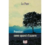 Provvisori come squarci d’azzurro di Lu Paer, 2020, Edizioni Tripla E