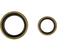 PROX 42.6320 KIT PARAOLI ALBERO MOTORE BETA RR 300 RACING 2015
