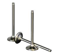ProX Racing Parts 28.2440-1 Titanium Replacement Intake Valve