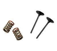 Prox Valvola Di Aspirazione Kawasaki Kx 250 F 28.sis4341-2 Springs