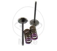 Prox Valvola Di Ingresso + Set Di Molle 28.SIS1336-2