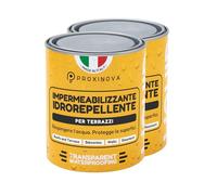 Proxinova Idrorepellente Trasparente - Impermeabilizzante Terrazzi Protettivo Contro Acqua e Sporco per Pietra, Cemento e Piastrelle - Sigillante per Pavimenti, Facciate, Terrazze e Tetti (Pacco da 2)