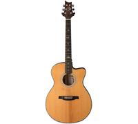 PRS SE A50E BG inc. Case