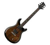PRS SE Paul's Guitar Black Gold Burst