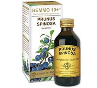 DR.GIORGINI SER-VIS Srl PRUGNOLO 100ML ANALCO GEM 10+