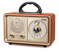 PRUNUS J-110 Radio Portatile Vintage FM/AM/SW, Radiolina Classico Legno