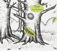 Psapp - Tiger, My Friend