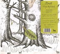 Psapp - Tiger My Friend