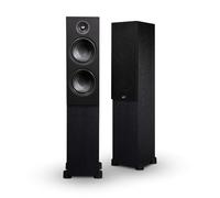 PSB Alpha T20 (Black Ash)