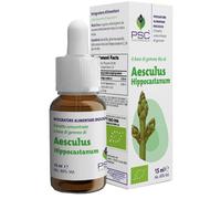 PSC AESCULUS HIPPOCASTANUM GTT