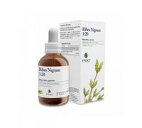 Psc ribes nigrum gtt 15ml