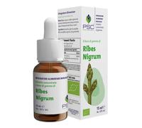 Psc ribes nigrum gtt 15ml
