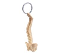 Psdndeww Catena modello anatomico dettagliato della colonna vertebrale umana scheletro per l'insegnamento e l'ornamento accessori medici portachiavi educativo, Beige, Taglia unica