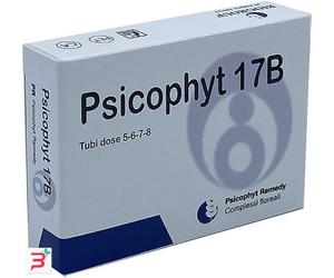 PSICOPHYT REMEDY 17B 4 TUBI 1,2 G