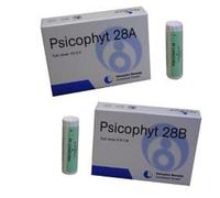 PSICOPHYT REMEDY 28B GR BG