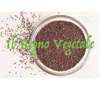 PSILLIO Semi Bruni Puri Interi 1 Kg INTESTINO pigro Stitichezza Diverticoli