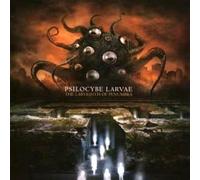 Psilocybe Larvae - The Labyrinth Of Penumbra