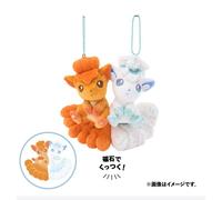 PSL Pokemon Center Simile Due di un tipo NITAMONO DOUSHI Peluche Giappone...