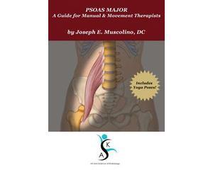 Psoas Major: A Guide for Manual and Movement Therapists