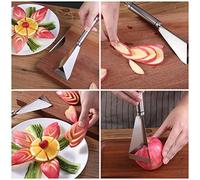 Pssopp Acciaio Inossidabile -stahl -fruchtschneider Schneider Strumenti di Dimensioni in una Forma Triangolare Rapida e per Verdure e Frutta, per le Feste da Usare Cucina (#1)