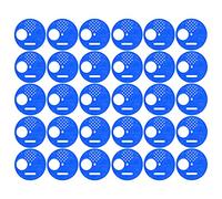 Pssopp Disco D'ingresso per Porta Alveare in Plastica 30 Pezzi Cancello di Uscita Rotondo con Apertura Regolabile per Strumenti di Apicoltura Proteggi le Api Dai Ratti (BLUE)