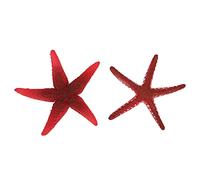 Pssopp Ornamento di Stelle Marine Artificiali in Silicone per Acquario Stella Marina Luminosa Resistente al Calore Stella Marina Artificiale Non Tossica per Acquario