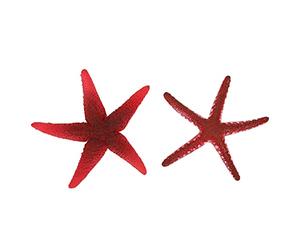 Pssopp Ornamento di Stelle Marine Artificiali in Silicone per Acquario Stella Marina Luminosa Resistente al Calore Stella Marina Artificiale Non Tossica per Acquario