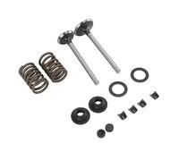 Pssopp Parti della Valvola Microtiller, Set di Clamp/Holder di Bloccaggio con Rondella Elastica Resistente all'Usura in Ferro per Generatore, Perfetto per Tosaerba e Attrezzature da Giardinaggio